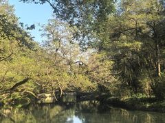 -婺源月亮湾