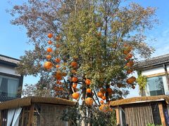 -白鹭湾湿地公园