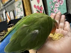 -吾叁·吉趣鸟咖(万科店)