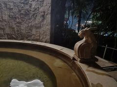 -张家港金凤凰度假村温泉