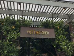 -The Grounds of Alexandria