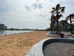 -金沙湖公园