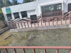 -青藏高原野生动物园