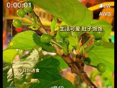 -尽善百年古院餐厅(王家老宅店)