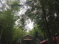 -陶祖圣境风景区