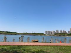 -丁香湖公园