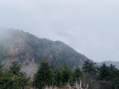 -九峰山
