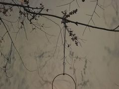 -苏州本色美术馆