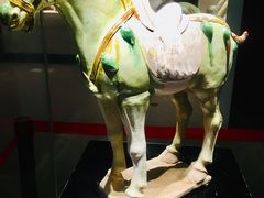 -珠海市博物馆