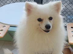 -怪兽屋·羊驼·猫咖·狗咖(俊华广场店)