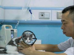 -皮特动物医院(24小时店)