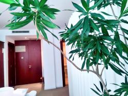 -姜美堂·蒸姜除湿の纤体美颜馆