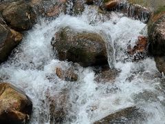 -广州白江湖森林公园