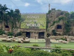 -新加坡飞禽公园