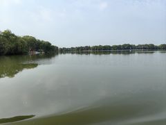 -长兴太湖图影湿地文化园