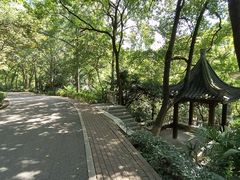 -北极阁公园