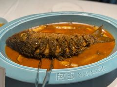 红烧黄河鲤鱼-阿五黄河大鲤鱼(纬三路店)