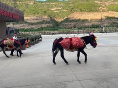 -陕西黄河壶口瀑布旅游区