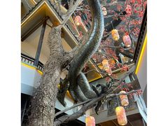 -老李家土菜馆·安吉地标美食