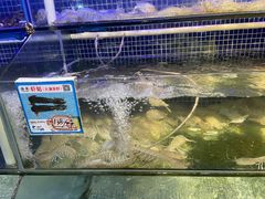 -庆余生平价生猛海鲜(海棠湾林旺夜市店)