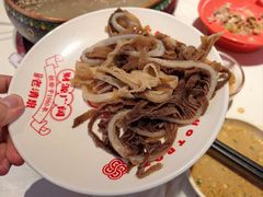 -董记老清泉·鲜切涮羊肉(窑岭店)