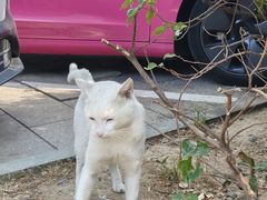 -甬上名灶·首店(环城西路店)