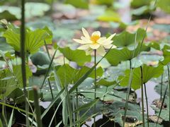 -木塔寺遗址生态公园