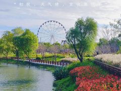 -顾村公园