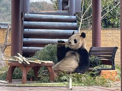 -杭州野生动物世界