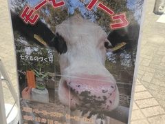 -神户市立六甲山牧场