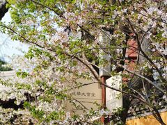 -龙华寺