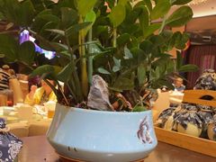 -半岛太子酒家(海港城店)