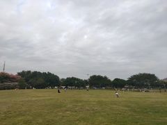 -文华公园(禅城区)