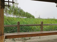 -呼兰河口湿地公园