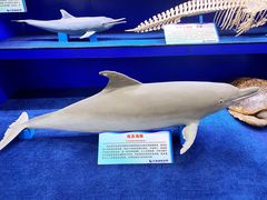 -北海海底世界