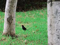 -风云岭森林公园