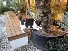 -自由生长植物工作室(深港花卉中心店)