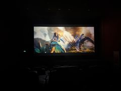 -华谊兄弟影院(IMAX洋桥店)