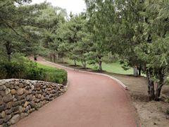 -云岗森林公园