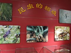 -上海昆虫博物馆