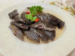 -沙龙酒家