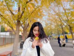 -三里屯东五街银杏大道