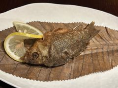 -滇野云南野生菌餐厅(陕西南路店)