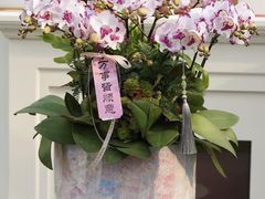 -F.Story 花和故事(新天地店)