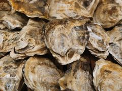 -舌尖上·霞浦滩涂海鲜·新闽菜(总店)