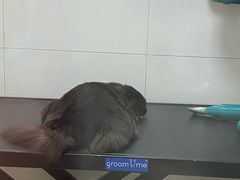 -悠尼宠物·独立低压伊珊娜洗护·美容·寄养(兰谷路店)