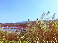 -东部华侨城