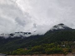 -后柳水乡