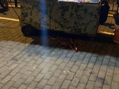 -新疆阿力烧烤