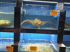 -徽三说·土徽菜·中国徽菜连锁品牌(一中店)